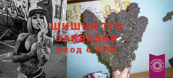 мет Алексин