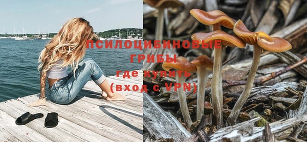 соль ск Алзамай