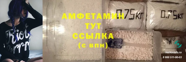 гидра Алексеевка