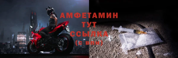 гидра Алексеевка
