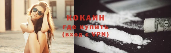 соль ск Алзамай
