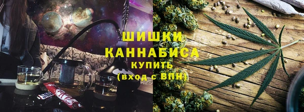 тгк Пестово