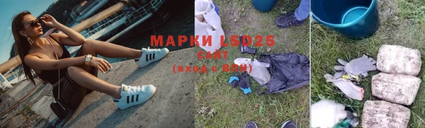 мет Алексин
