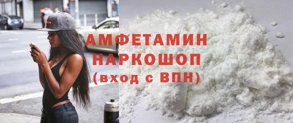 мет Алексин